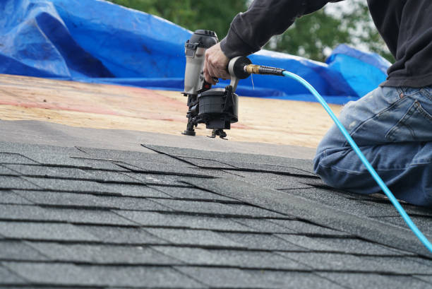 Best Storm Damage Roof Repair  in Dandridge, TN